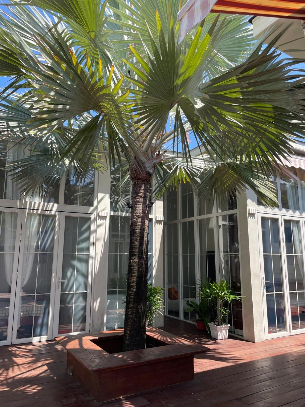 Belvedere Villa
